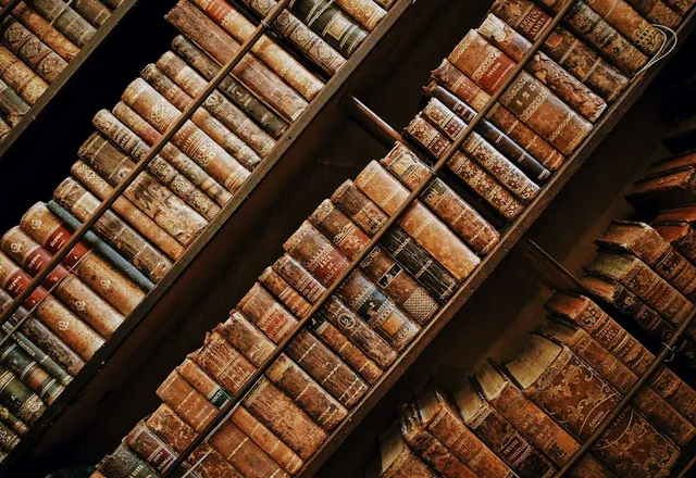 A collection of old books on library shelves